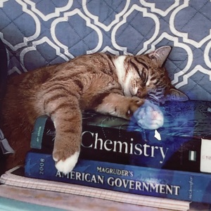 Fundraising Page: Tracy Doriski